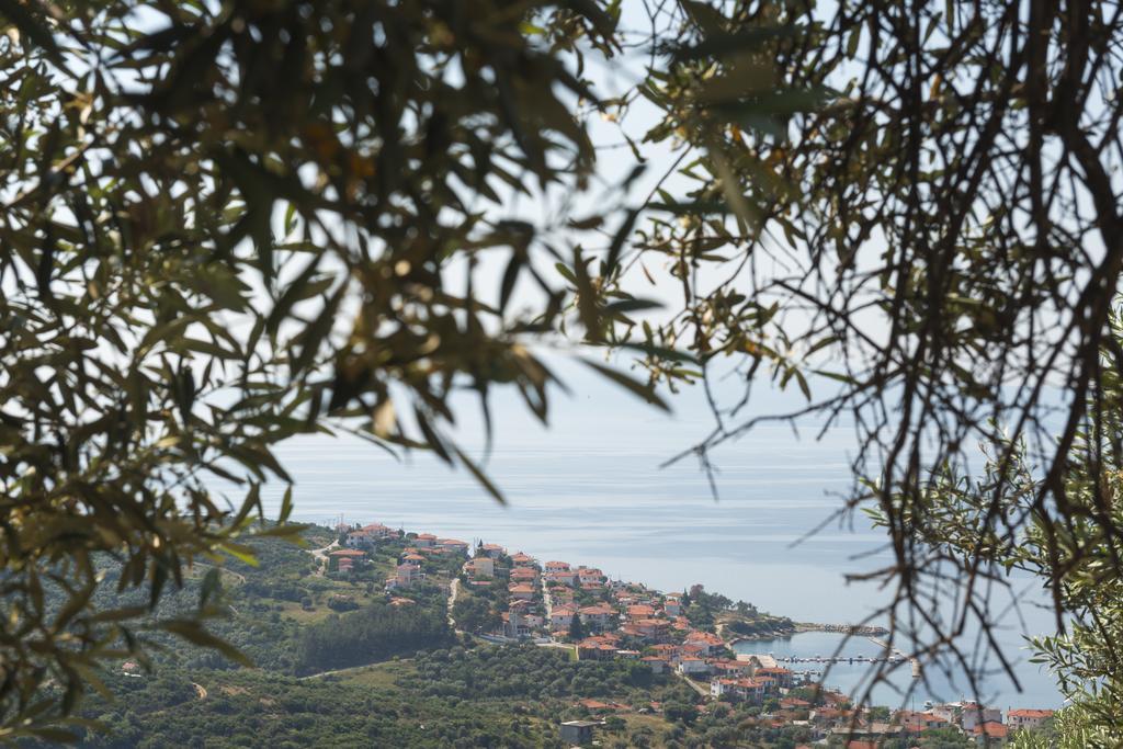 Avli Apartments Pyrgadikia Bagian luar foto